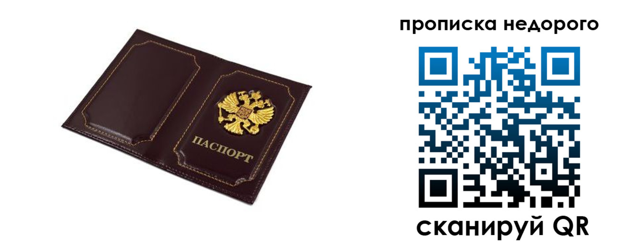 пропишу в квартире в Волгодонске